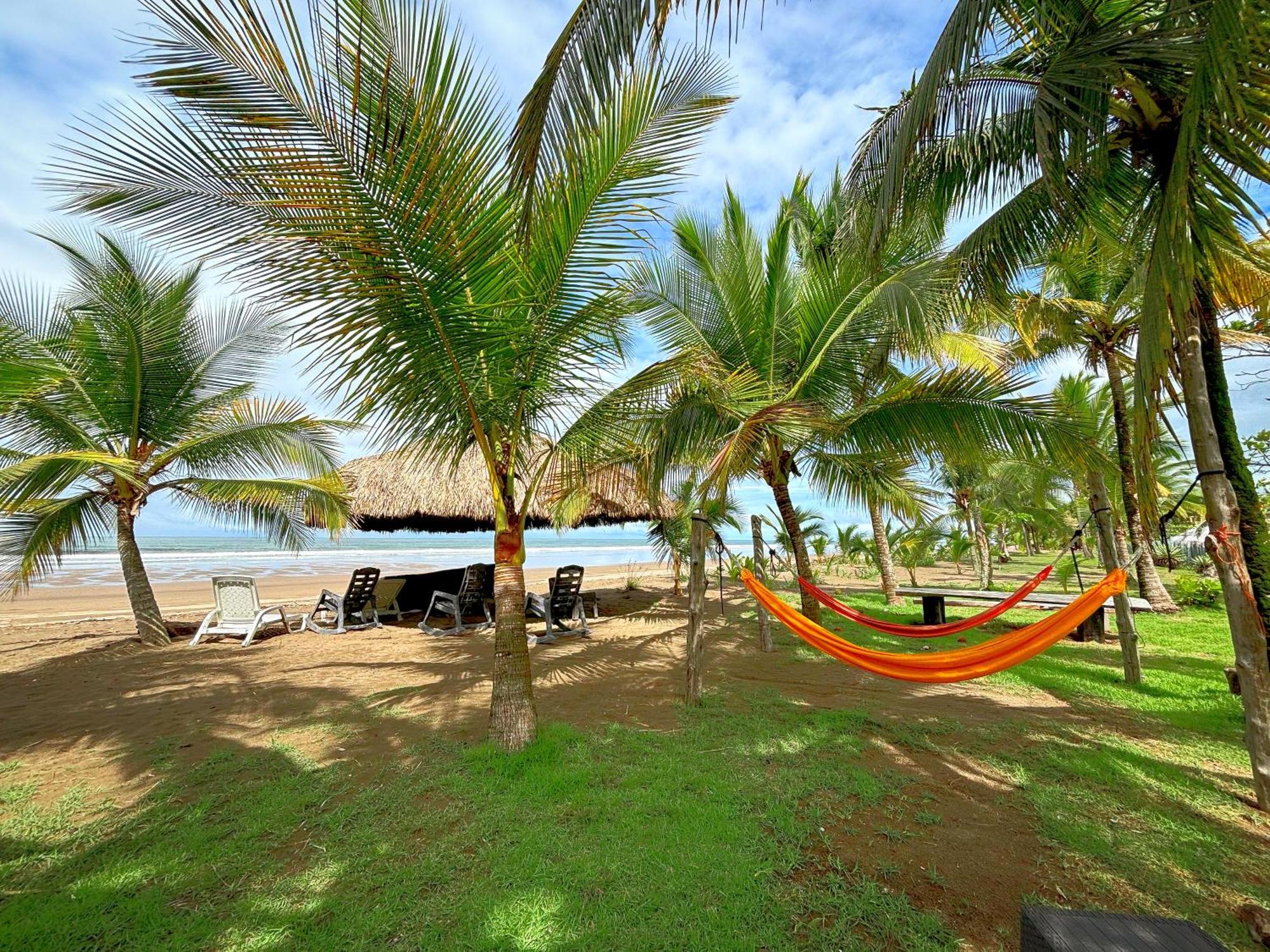 Royal Palm Retreat Apartment Cabrera ภายนอก รูปภาพ